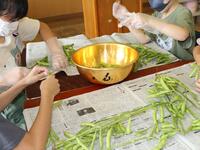 枝豆のさや取り