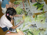 とうもろこしの皮むき