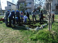 田んぼの土を移動する